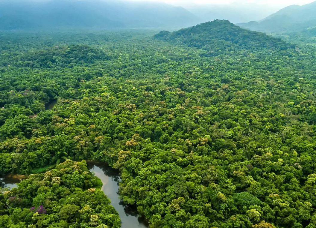 Qué hacer en Departamento de Amazonas